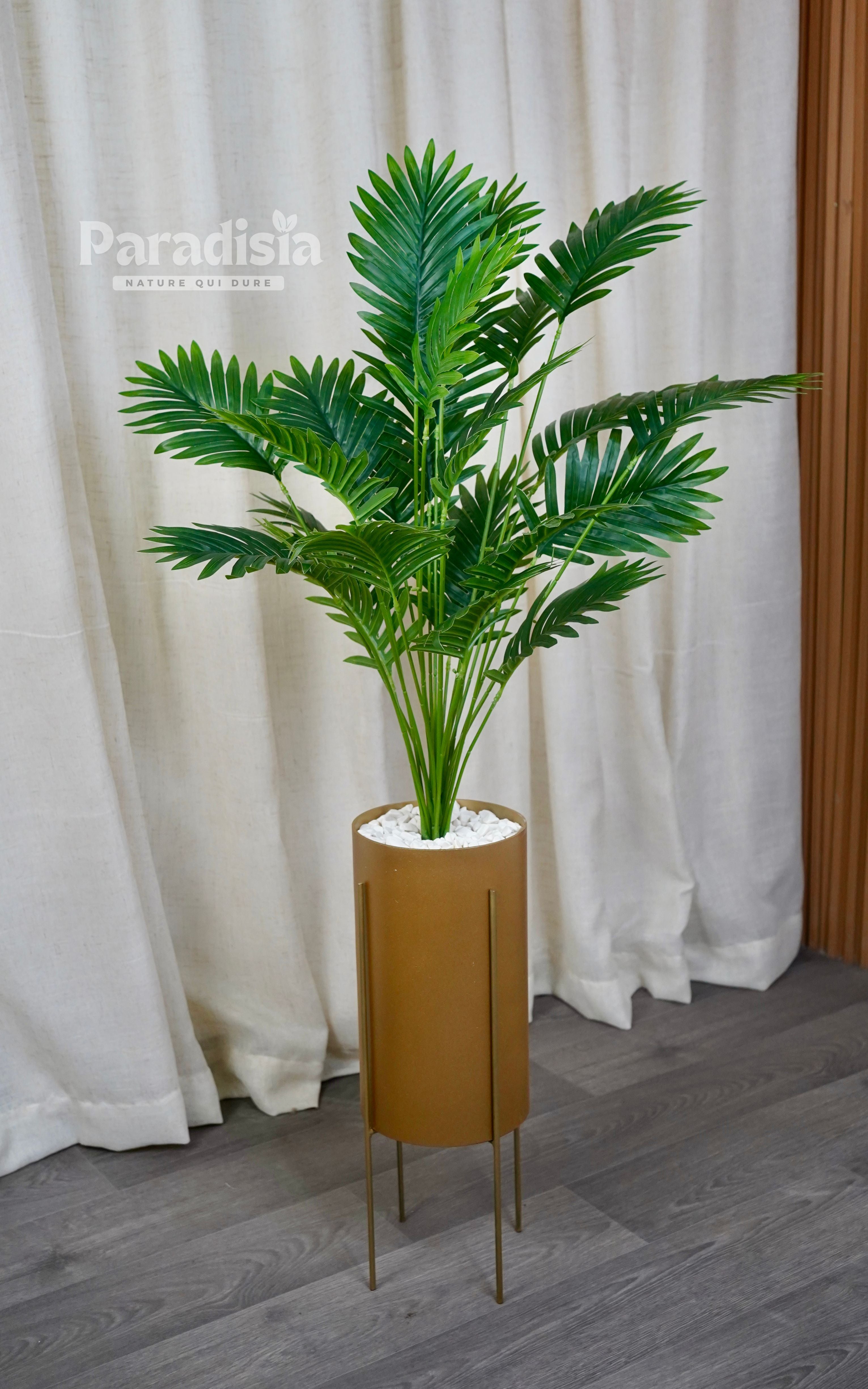 Tropica