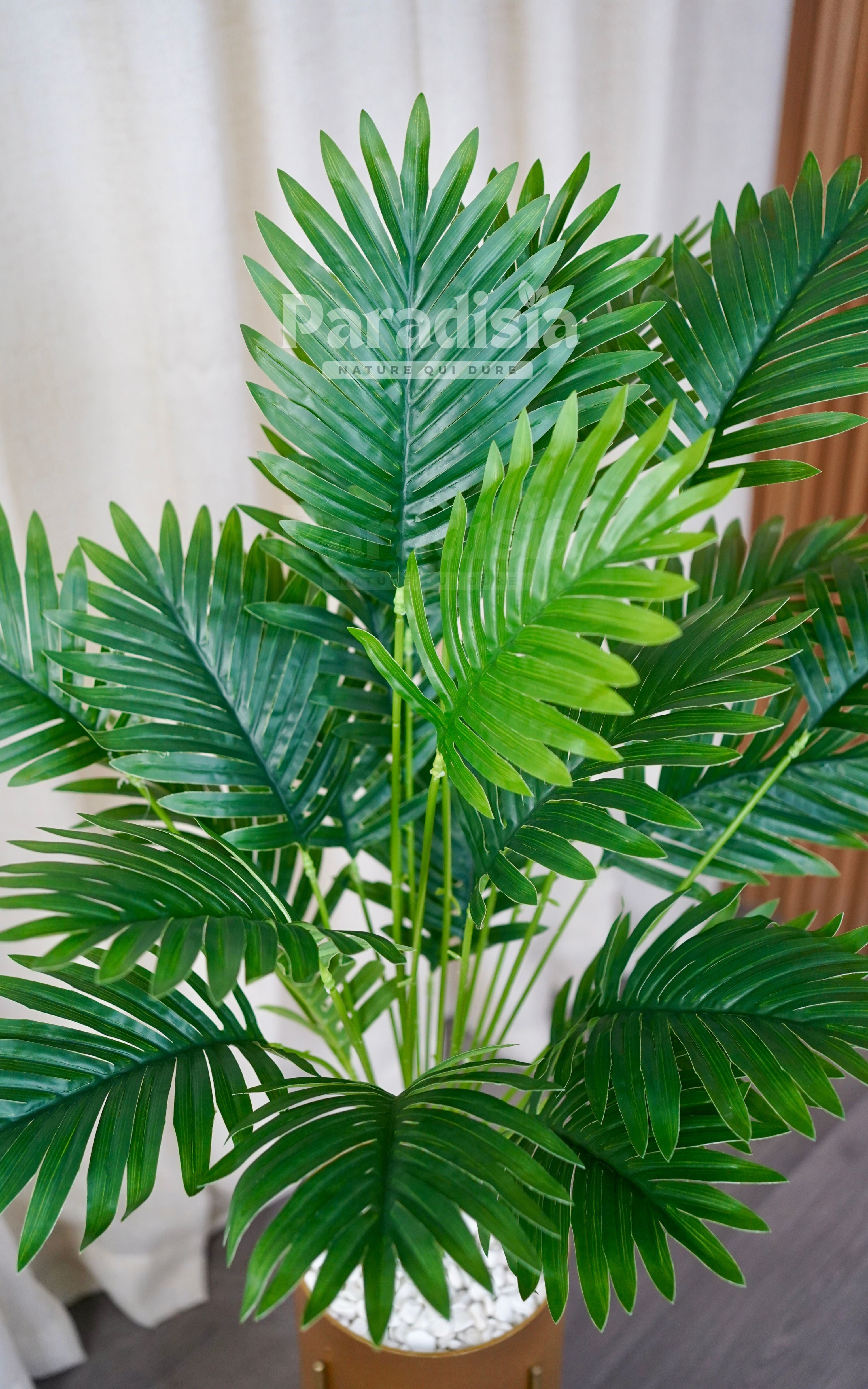 Tropica