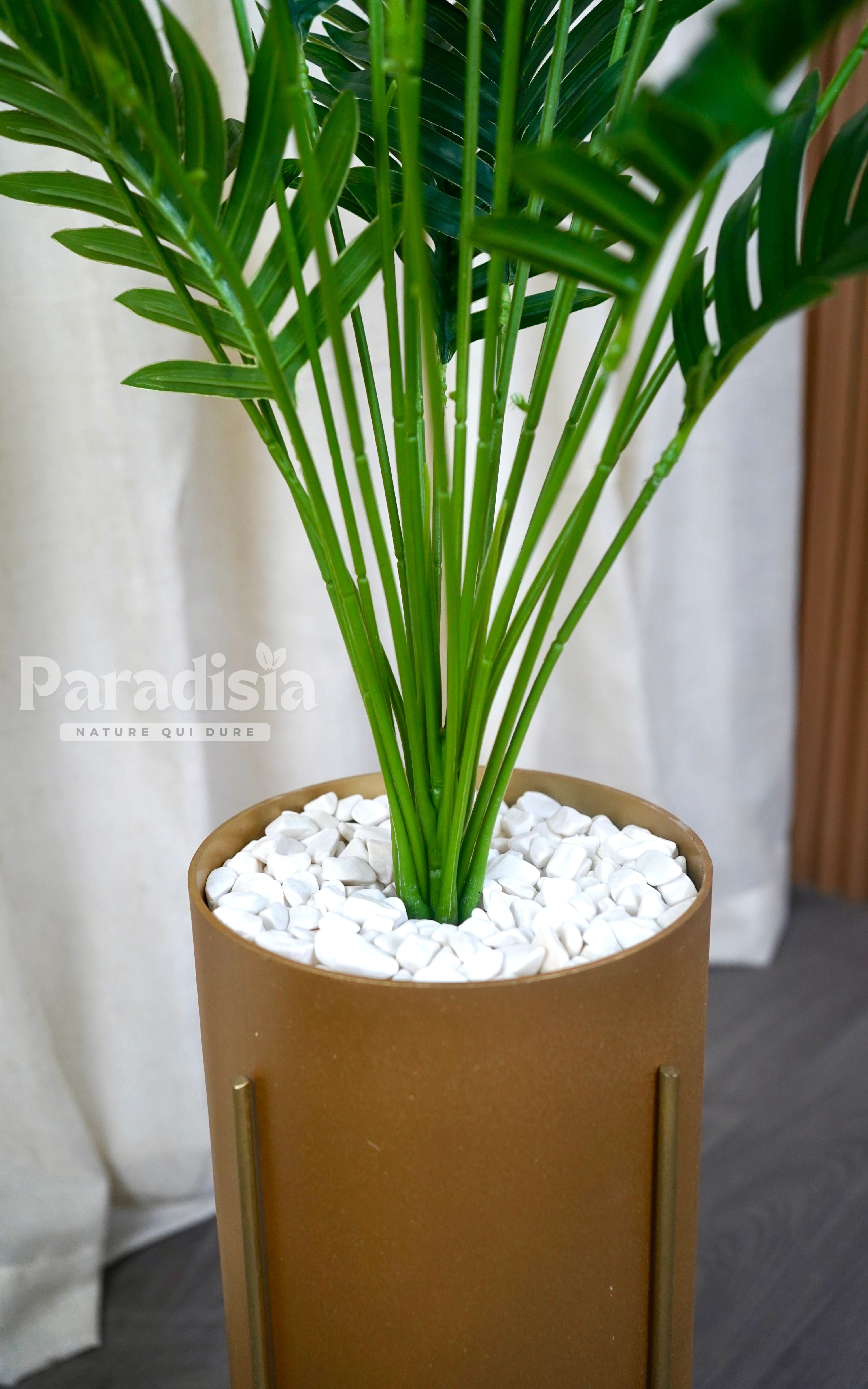 Tropica